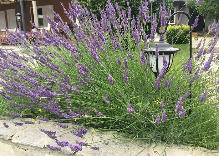 Ferienpark Anchor Sinemoretz